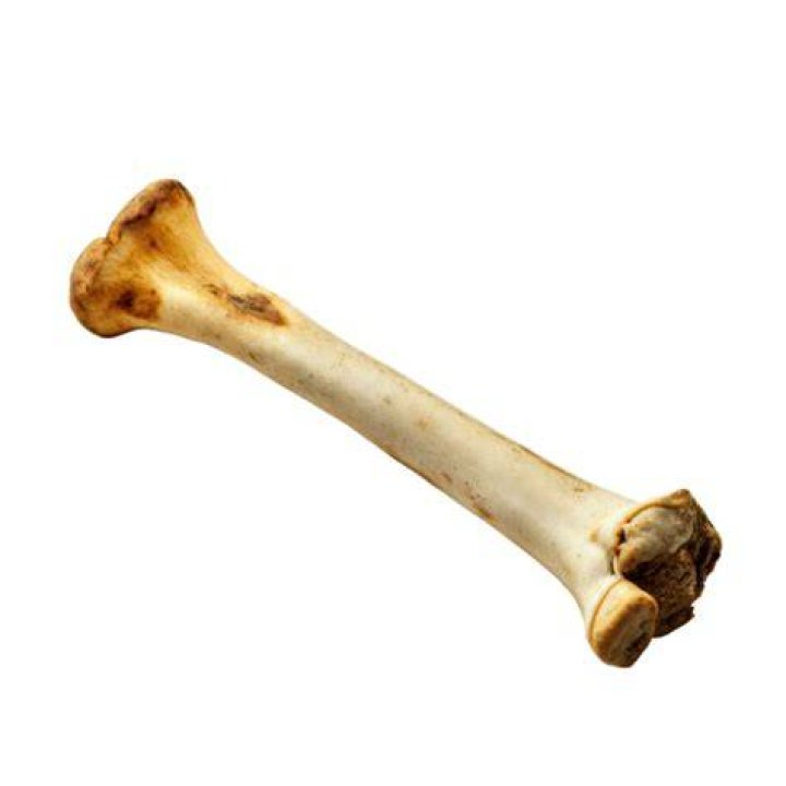 bone828282調べとは？その意味・使われ方を徹底解説