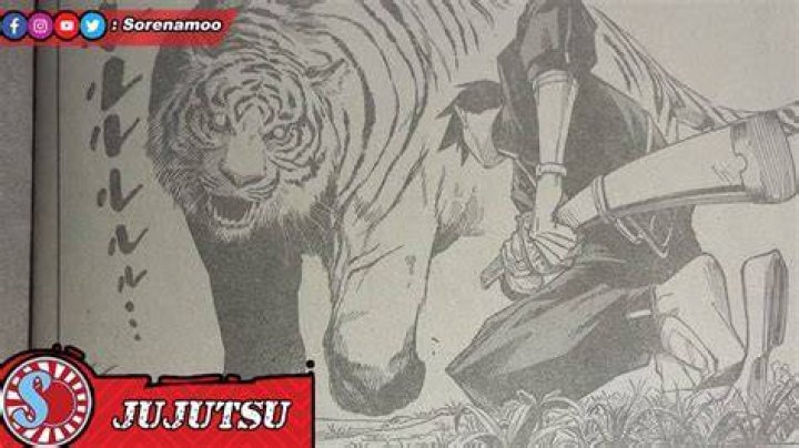 呪術廻戦255話 rawを徹底解説｜最新話のあらすじと見どころ