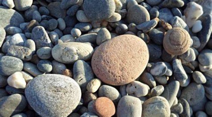 「なし の つぶ て」とは？意味・使い方・由来をやさしく解説